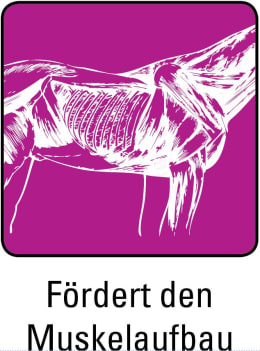ART_SealOfApproval