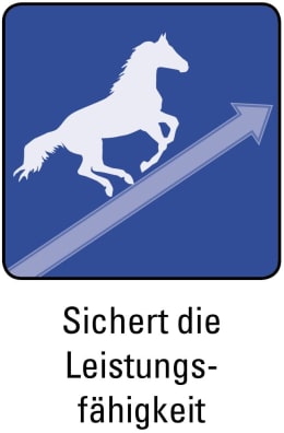 ART_SealOfApproval