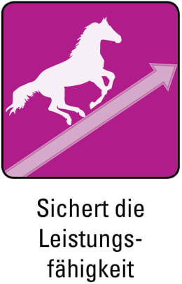 ART_SealOfApproval