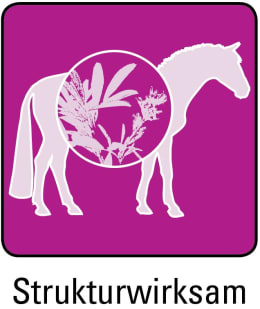 ART_SealOfApproval