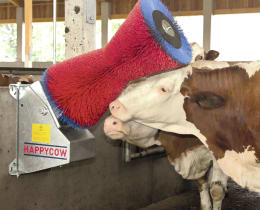 Lifestyle: HappyCow Kuhputzmaschine Happycow Uno