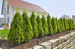 Lifestyle: GARDENA Micro-Drip-System Start Sets Pflanzreihen schwarz 4,6 mm (3/16) OTN/HTN 13010-20