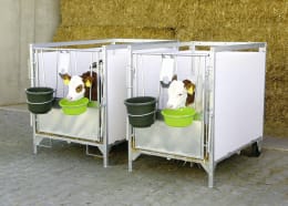 Lifestyle: KERBL Kälberbox mit 1 Liegeplatz