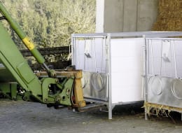 Lifestyle: KERBL Kälberbox mit 1 Liegeplatz