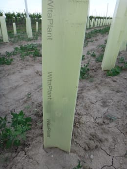 Lifestyle: WitaPlant MV® Rebschutzsäule