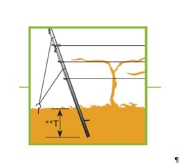 ART_AdditionalAssets