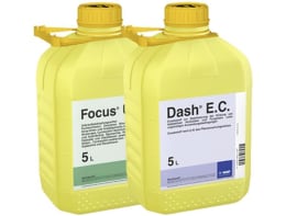 Produktbild: BASF Focus® Aktiv