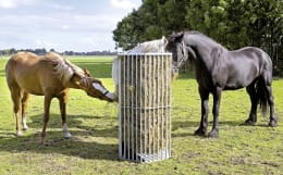 Produktbild: Growi® Heuraufe 73,7 x 78,2 x 150 cm, für Paddock, Pferde, loses Heu