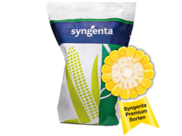 Produktbild: Mais-Saatgut Syngenta in Verpackung mit Maiskolben-Querschnitt
