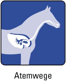 ART_SealOfApproval