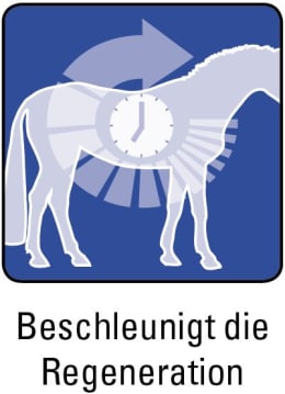 ART_SealOfApproval