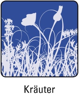 ART_SealOfApproval