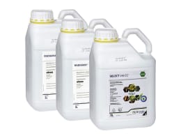 Produktbild: UPL Select 240 EC