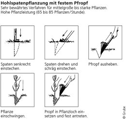 Detailbild: Hohlspaten VSA nach Junack Blatt 300 x 165 mm
