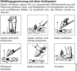 Technische Zeichnung: Hohlspaten VSA nach Junack Blatt 300 x 165 mm