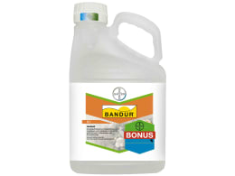 Produktbild: Bayer Bandur 5 l Kanister