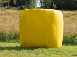 Lifestyle: Trioplus® 1900 RS Stretchfolie CHARITY gelb 0,75 x 1.900 m Premium Plus Stretchfolie