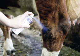 Produktbild: Agro Chemica Blauspray