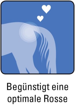 ART_SealOfApproval