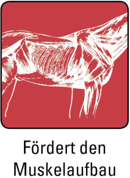 ART_SealOfApproval