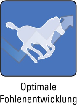 ART_SealOfApproval