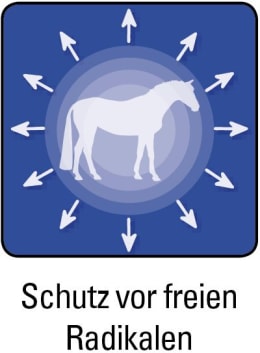 ART_SealOfApproval