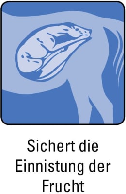 ART_SealOfApproval