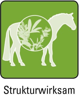 ART_SealOfApproval