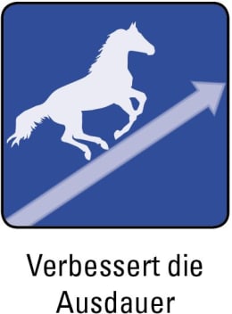 ART_SealOfApproval