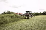 Lifestyle: Massey Ferguson Heuwender MF TD 868 TRC 8,60 m Unterlenker Heck Transportfahrwerk