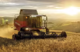 Lifestyle: Massey Ferguson Mähdrescher MF Beta 7360 ParaLevel 225 kW (306 PS)