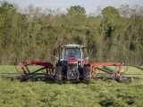 Lifestyle: Massey Ferguson Schwader MF RK Gen2 4 Kreisel, Schwad mittig