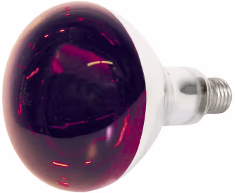 Produktbild: KERBL Wärmelampe Hartglas