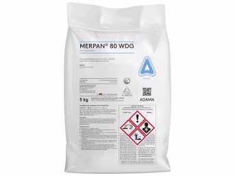 Produktbild: ADAMA Merpan 80 WDG