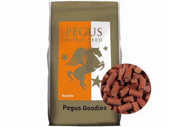 Produktbild: Pegus Goodies Karotte Pferdeleckerlis mit Karottengeschmack
