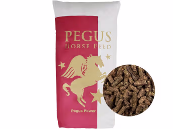 Produktbild: Pegus Power Cobs Maiscobs aus der ganzen Pflanze zum Einweichen