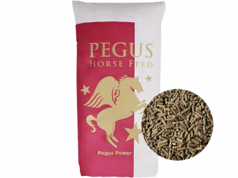 Produktbild: Pegus Power Extra energiereiches, haferfreies Pelletfutter für Sportpferde