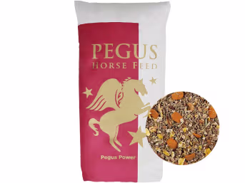 Produktbild: Pegus Power Müsli haferfreies Müsli für Sportpferde