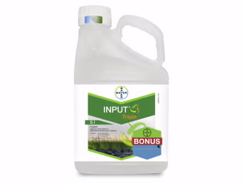 Produktbild: Bayer Input Triple