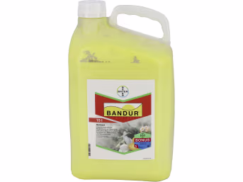 Produktbild: Bayer Bandur