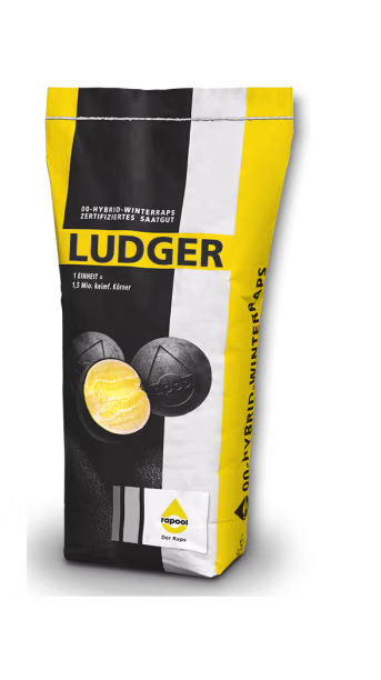 Produktbild: Winterraps Saatgut Rapool LUDGER