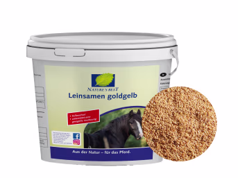 Produktbild: NATURE´S BEST Leinsamen goldgelb mit ungesättigten Fettsäuren
