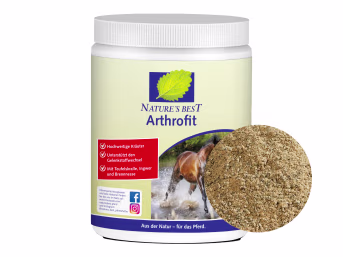 Produktbild: NATURE´S BEST Arthrofit mit Teufelskralle und Ingwer