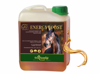 Produktbild: St. Hippolyt WES Energy Boost energiereicher Mix aus Leinöl, Reiskeimöl und Hanföl