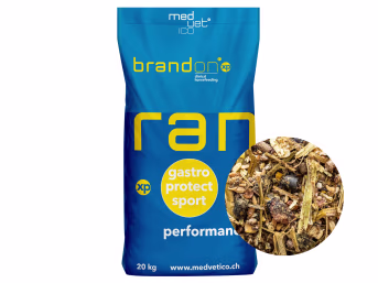Produktbild: St. Hippolyt Brandon XP niederglykämisches, energiereiches Müsli für Pferde