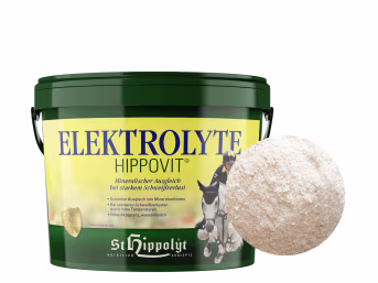 Produktbild: St. Hippolyt Elektrolyte Mineralischer Ausgleich bei starkem Schwitzen