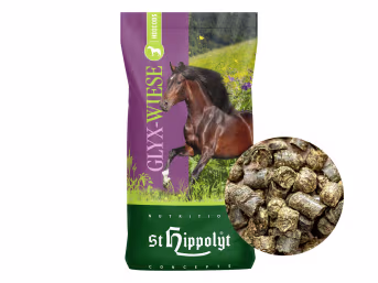 Produktbild: St. Hippolyt Glyx-Wiese Heucobs staubarmer Raufutterersatz für Pferde zum Einweichen
