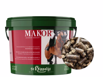 Produktbild: St. Hippolyt Makor mit hochdosiertem Magnesium und Vitamin E