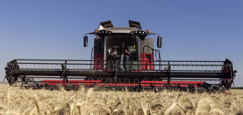 Produktbild: Massey Ferguson Mähdrescher MF Beta 7370 PLi 265 kW (360 PS)
