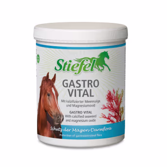 Produktbild: Stiefel Gastro Vital für magensensible Pferde